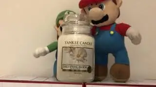 Yankee Candle Review: Early Spring Bloom (RETIRED, HARD TO FIND, AND ONE OF OUR FAVOURITE CANDLES)