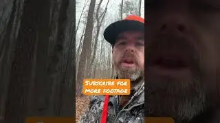Tips and things ya need when running dogs #whitetaildeer #deerhunting #deer