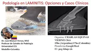 CHARLAS EQUINOS Podolog&iacute;a en laminitis, opciones y casos cl&iacute;nicos, Dr. Juan Manuel Henao