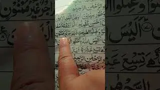 surha vttini @sbeenaansari # #quran #beautiful #quranrecitation #egzonibrahimi