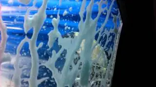 Zippys Car Wash Ann Arbor, Michigan 11/8/2015