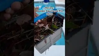Beatbot AquaSense Pro Full Review #beatbot #aquasensepro #poolrobot #polaris #beatbotaquasensepro