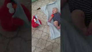 Peek a boo Elmo