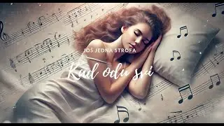 Jo&scaron; jedna strofa - Kad odu svi