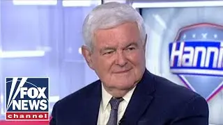 Gingrich: Midterm election is about 'two Americas'