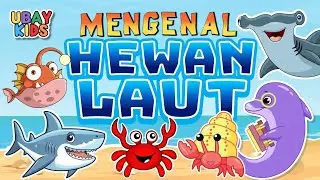 Mengenal Hewan Laut I Ubay Kids 