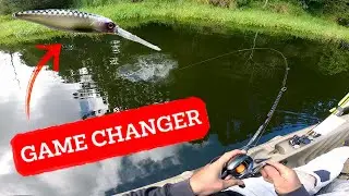 Baroon Pocket | My first time using a Jerk Bait!