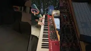FUNKY ELECTRIC PIANO LICK #shortsfeed #music #musician
