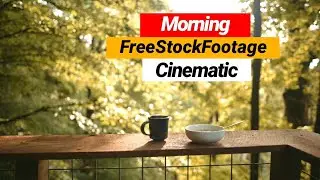 The Morning | Free Stock Footage | No Copyright | Cinematic |