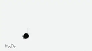 Black Circle