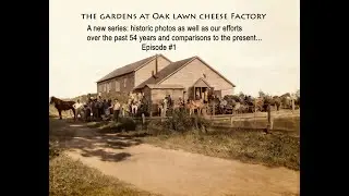 The Gardens at Oak Lawn Cheese Factory: 54 years of DIY 1st in a series