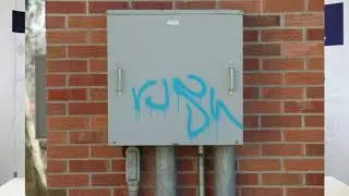 Enclosure Swing Out Panels