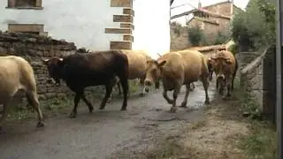 Abiada - Fiesta de Los Campanos 2011-Cantabria Sur- por dc