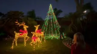 DIY Outdoor Christmas Tree: Vertical String Light Display on Flag Pole