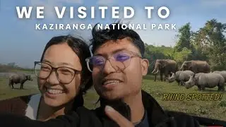 The Wildlife of Assam: A Deep Dive into Kaziranga National Park🐘