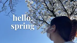 my simple life in the uk 🌸 hello there spring and williamson park