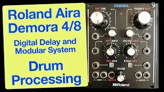 Roland Aira Demora - Digital Delay - Sound Demo - Drum Processing