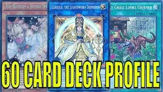 *BEST* 60 CARD LIGHTSWORN ZOMBIES DECK PROFILE - REPLAYS - YUGIOH 2018 FEBRUARY BANLIST READY