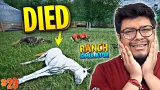 My Horses Died - Ranch Simulator - PART 29 (HINDI)