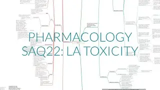 PHARMACOLOGY SAQ22: LA TOXICITY