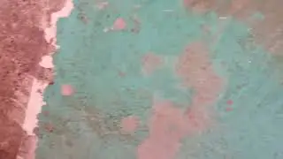 ant 🐜 video #ant#ant video #science hope
