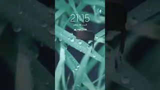 26 نوفمبر 2022
