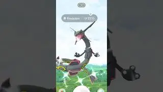 Mega Rayquaza Raid Day REVEALED &mdash; Don&rsquo;t Miss This! #pokemongo
