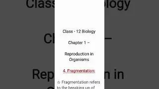 What is Fragmentation? Class 12 Biology Chapter 1