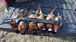 Christmas Eve pheasant hunt🎄🔥 (NEW Retay ACE-R)