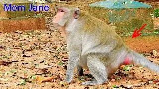 Pregnant mom Jane moving sit _up with strange action , Jane want to surprise viewer soon