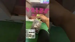 逛机厅偶遇天上掉馅饼，薅它！【Mirai游戏厅 番外#06】