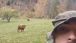 Schwarzwald Wander Vlog 
