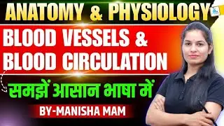 Blood Vessels & Blood Circulation in Hindi | रक्त वाहिकाएँ एवं रक्त परिसंचरण | by Manisha Ma'am