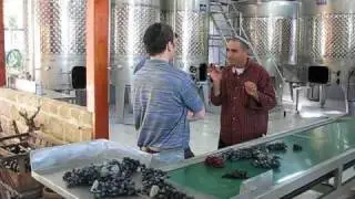 A private visit to Kitron Boutique Winery near Netanya