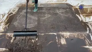 Every Single Scrape of Dirty Rugs from Start to Finish Pt. 1 🧼 | ASMR | C3 Laundry Services