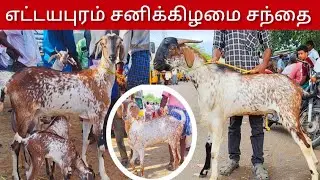 எட்டயபுரம் சனிக்கிழமை சந்தை விலை நிலவரம்