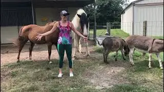We are Resilient with Horse and Donkeys at Soma Ranch