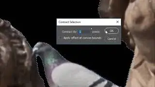 Easy Tricks to Remove Fringes or White Edges from Cut Outs in Photoshop #tipsandtricks #photoshop