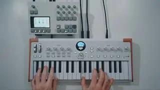 Arturia AstroLab, Torso S-4 | Ambient reflections