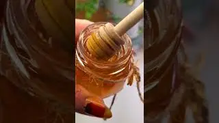 My top 4 ASMR Triggers 👌 Honey | Shaving Cream | Nail Tapping | Personal Attention Lipstick