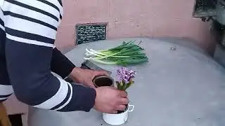 Ploie si iarasi ploaie, Mosu nu vrea sa fie