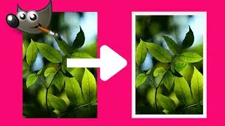 How to Add a Border to a Photo in Gimp