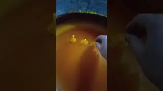 Diversión en la Cera Amarilla