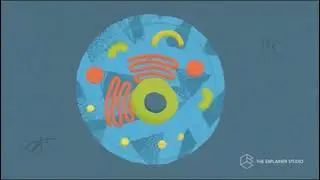 Macromolecular Modeling and Visualization Student Project from the year 2021