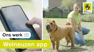 Van binnenkomst tot baasje: asielhonden helpen via een app?