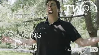 Slow Down: Two Minute Tips with David Bergman