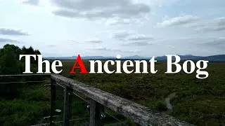 Flanders Moss May 2023 - Ancient Bog