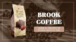 Brook Coffee DXN