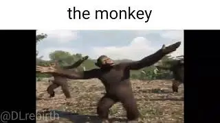 Dubstep be like (Part 2):