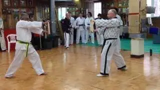 TKD Galt Scissor Kick